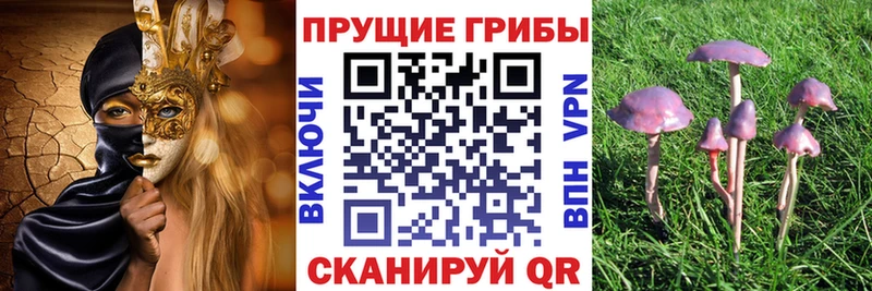 Псилоцибиновые грибы Psilocybine cubensis  где купить наркоту  Изобильный 