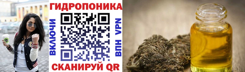 Канабис MAZAR  Изобильный 